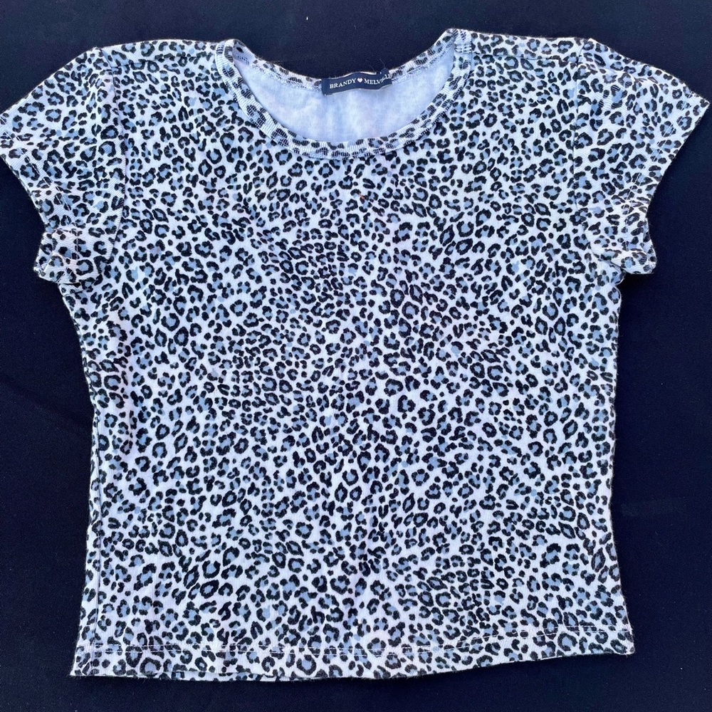 Brandy Melville Ashlyn Blue Top